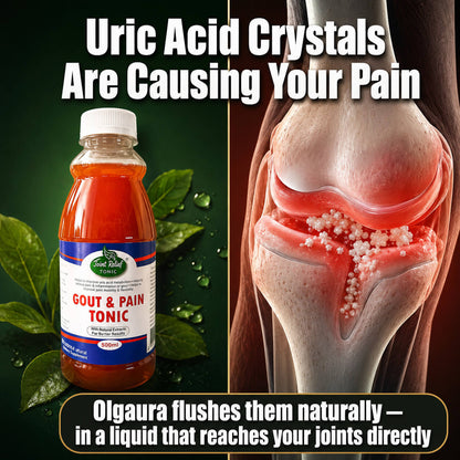 Olgaura Uric Acid Support