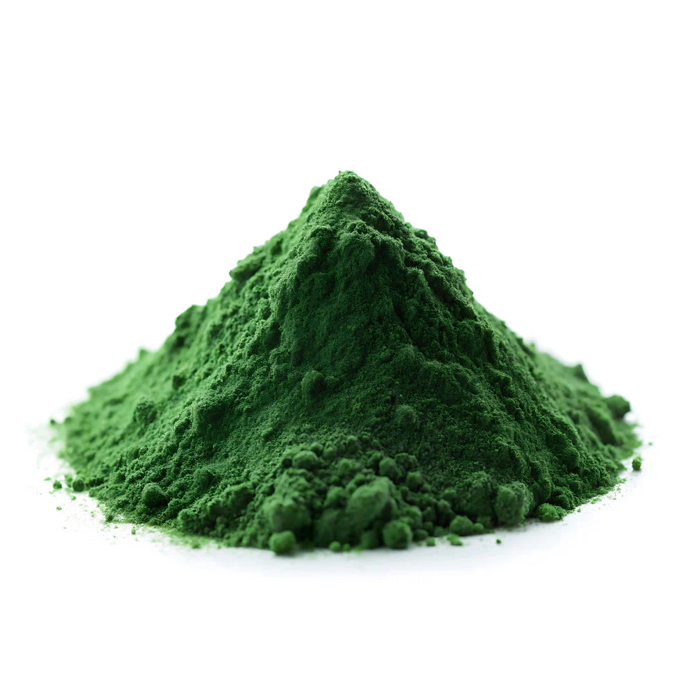 Chlorella Powder